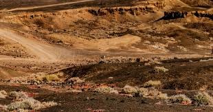 湖人险胜鹈鹕，41岁的詹姆斯30分8篮板8助攻，打服雷迪克